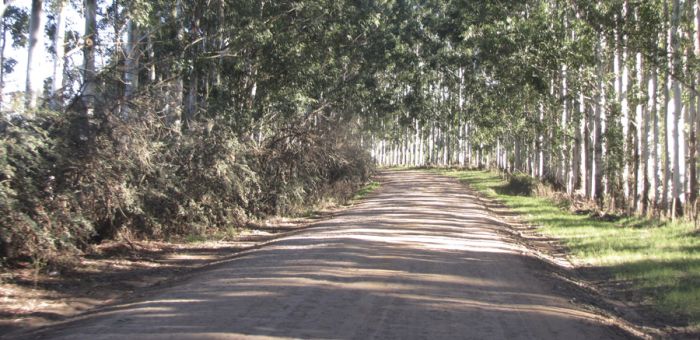 Intendencia de Florida suspendió la circulación de tránsito pesado en la caminería rural hasta este lunes