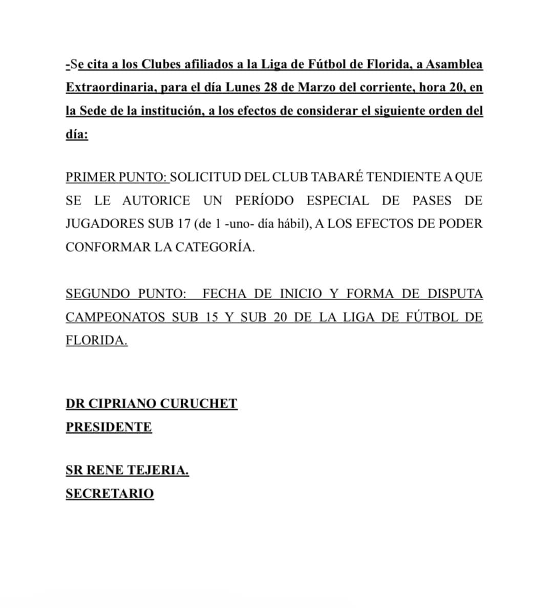 llamado asamblea 28 3