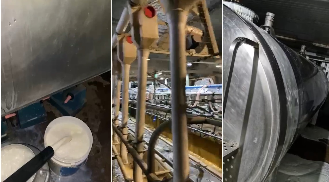 productores tiran leche