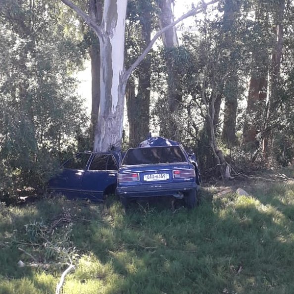 Siniestro_fatal_en_Ruta_12_un_hombre_falleció_tras_impactar_contra_un_árbol.jpeg