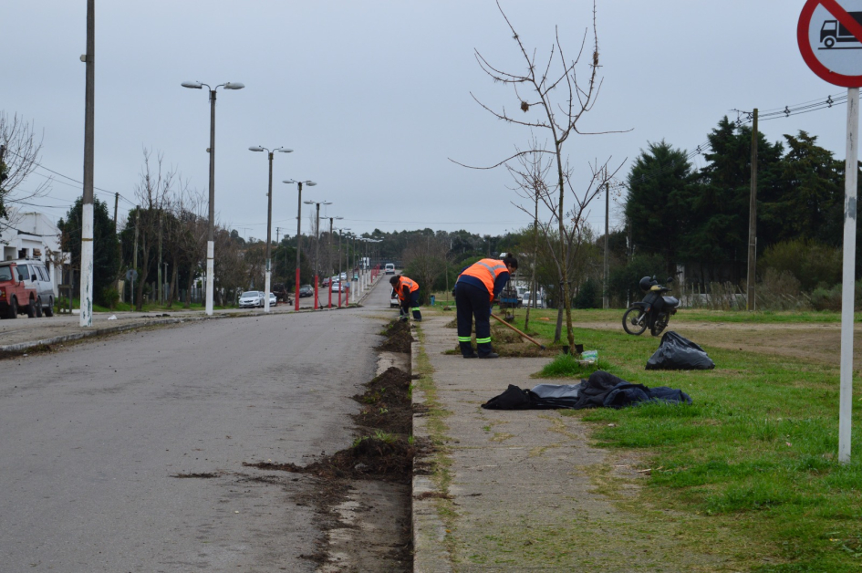 Trabajos_de_mantenimiento_en_calle_Florencio_Sánchez.jpeg