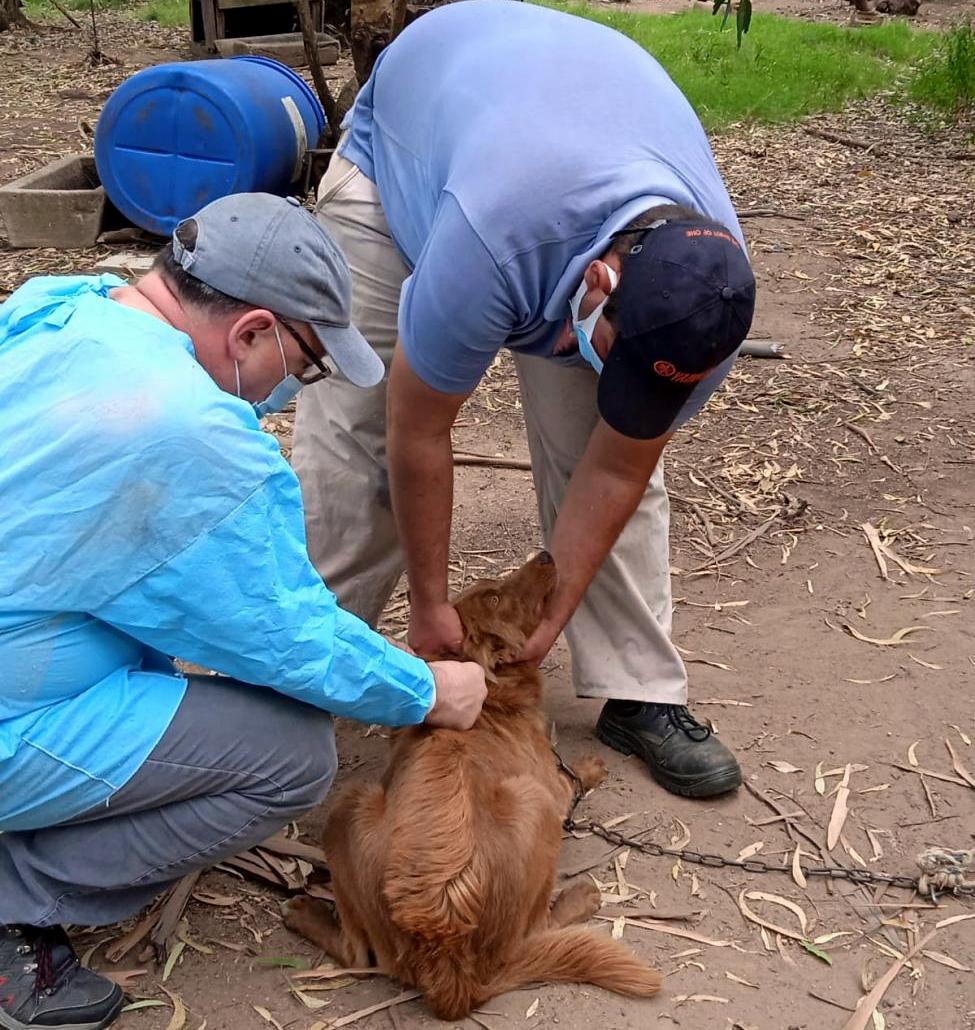 La próxima semana continúan las actividades del INBA en Cerro Colorado