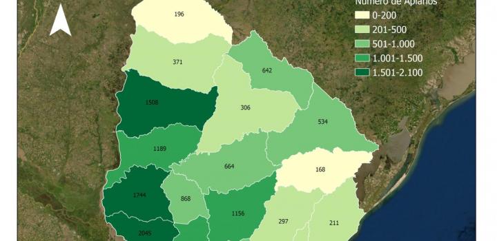 Registro Nacional de Propietarios de Colmenas