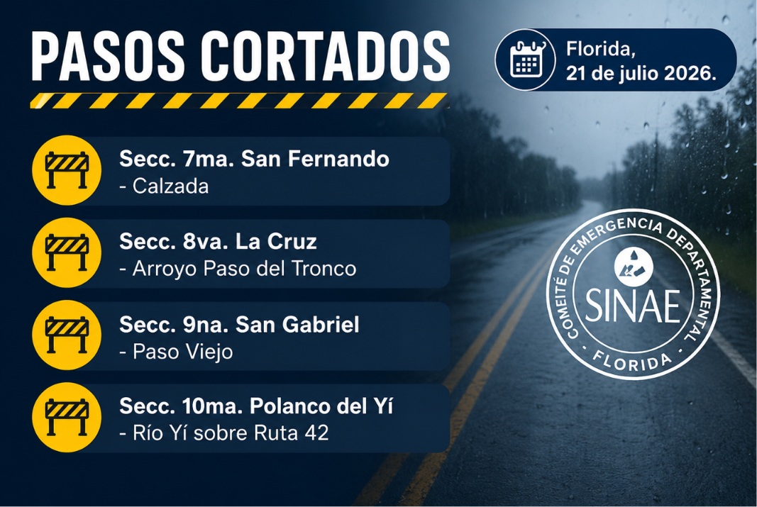 pasos_cortados_21-7-26.jpg