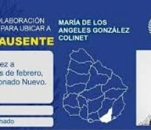 Alertan en Italia que mujer ausente es madre biológica de niño a cargo de empresario