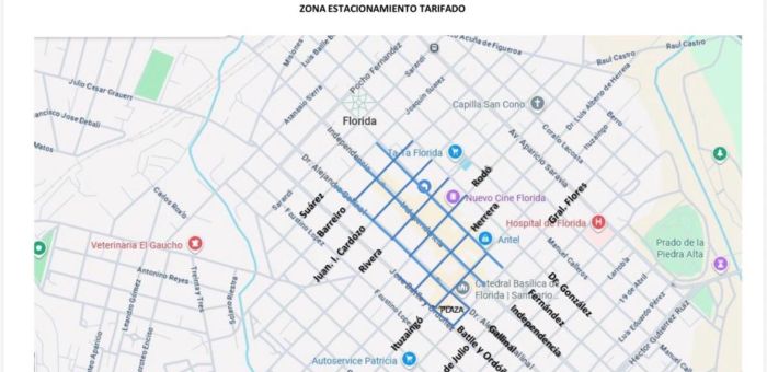 Estacionamiento tarifado: Director de T2 Parking aclaró dudas sobre pagos, puntos de venta y exoneraciones