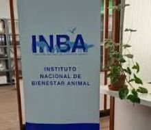 INBA rechaza prohibir razas de perros y propone extremar los controles