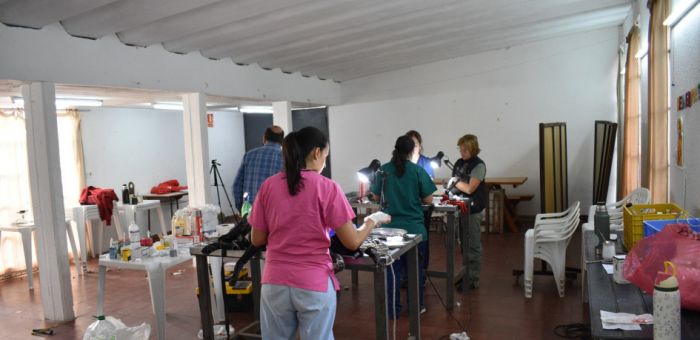 Avanza el plan de castraciones gratuitas en Florida con nuevas jornadas en el interior del departamento