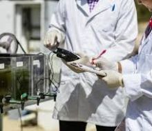 ANII e INIA fortalecen las becas de posgrado nacionales en líneas estratégicas agropecuarias