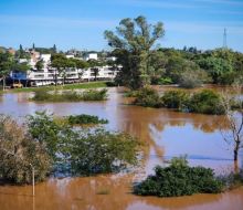 Evacuaciones en Salto por la creciente del río Uruguay, que rozó los 12 metros