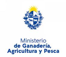 MGAP confirmó caso de influenza aviar en aves de traspatio en el departamento de Colonia y dispuso medidas