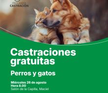 Continúan el miércoles las castraciones caninas en el interior del departamento