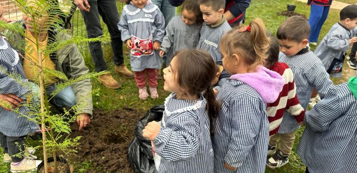 Jornada de plantación de árboles: “Hagamos florecer nuestro barrio”.