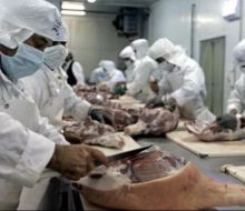 Frigorífico Tacuarembó: negocian reestructura que prevé reducir la plantilla en 150 trabajadores