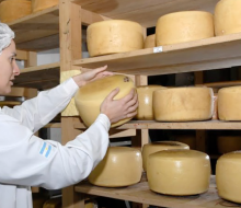 El queso se posiciona como protagonista del comercio mundial de lácteos