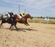 10 carreras en el Hipódromo “Irineo Leguisamo”