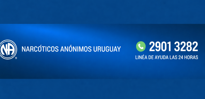 Narcóticos Anónimos fortalece su red de apoyo en Florida