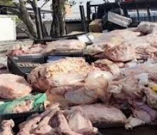Incautaron más de 8.000 kilos de carne vacuna que se comercializaba por redes sociales