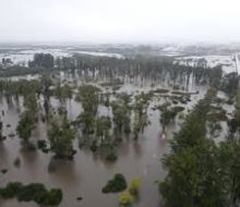 ONU advirtió por avance de El Niño y proyecta un “episodio fuerte” entre julio y setiembre