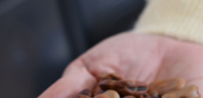 Comienza la entrega anual de semillas de primavera - verano para huertas familiares 2026