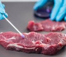 Cinco medidas para reforzar controles tras la detección de residuos de garrapaticidas en carne de vacuno Cinco medidas para reforzar controles tras la detección de residuos de garrapaticidas en carne de vacuno