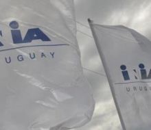 INIA creará herramienta para evaluar el bienestar animal