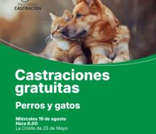 Continúan este martes las castraciones caninas en el marco del programa de Sanidad Animal