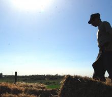 30 de abril: Día del Trabajador Rural