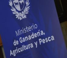 Se dispuso el cese de la emergencia sanitaria por gripe aviar
