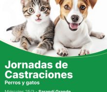 Cronograma de castraciones de perros y gatos