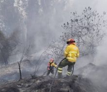 Nueve incendios forestales golpearon a Quito en una jornada marcada por el fuego y el humo