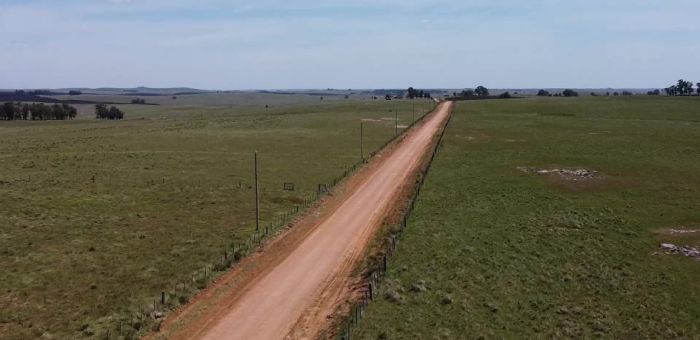 Se suspende la circulación de tránsito pesado en la caminería rural 