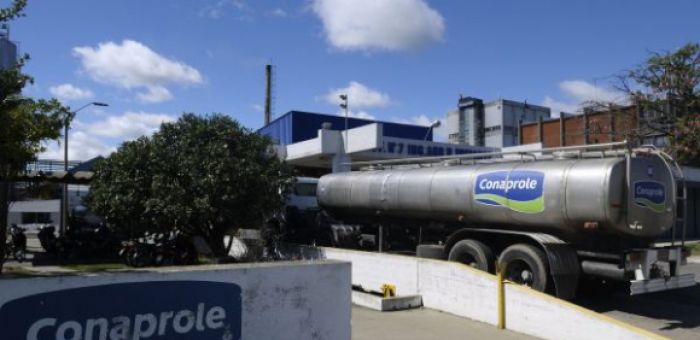 “Nueve meses de conflicto, no da para más”: Presidente de Conaprole habló sobre el cierre del centro de distribución de Rivera