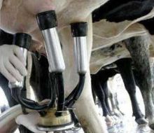 Beneficios en la tarifa de UTE para el sector lácteo