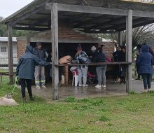 Continúan las castraciones caninas en el marco del programa de Sanidad Animal