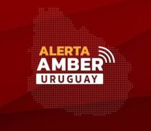 Alerta Amber: a partir de diciembre llegará el aviso a los celulares