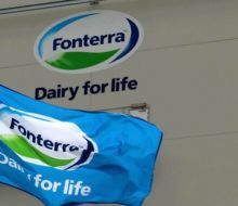 Leve baja de la leche en polvo entera en Fonterra
