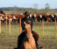 Miguel Martirena Bove será el próximo presidente de la Asociación Rural del Uruguay