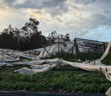 Comienza la notificación a productores de Salto por la Emergencia Granjera
