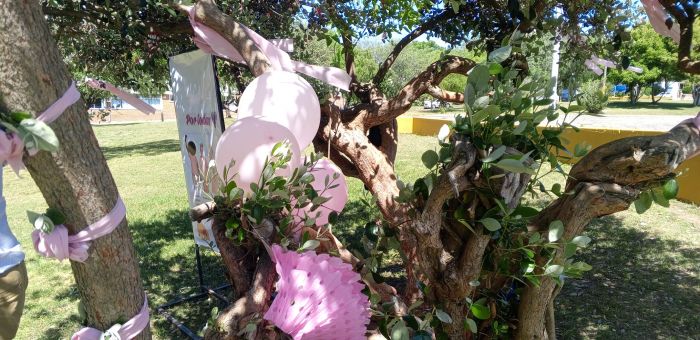 Actividad por el Día Mundial de la Lucha contra el Cáncer de Mama