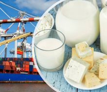 Exportaciones lácteas crecieron 11%