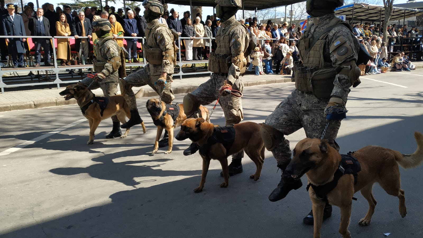 201_aniversario_de_la_Declaratoria_de_la_Independencia_imágenes_del_desfile_cívico-militar-tradicionalista_9.jpeg