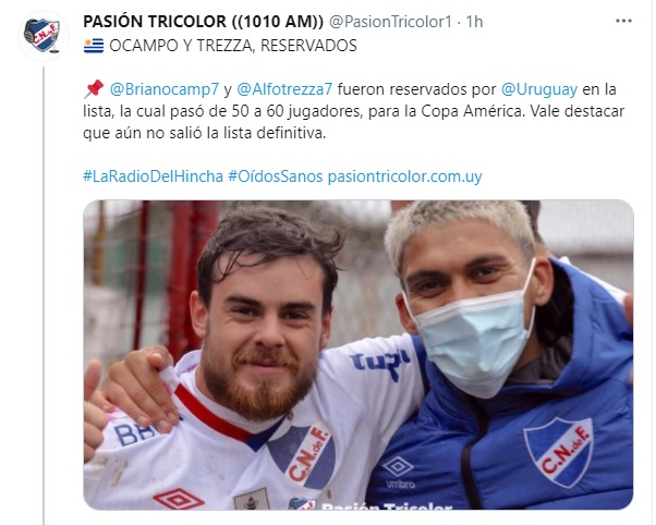 tuit pasion tricolor