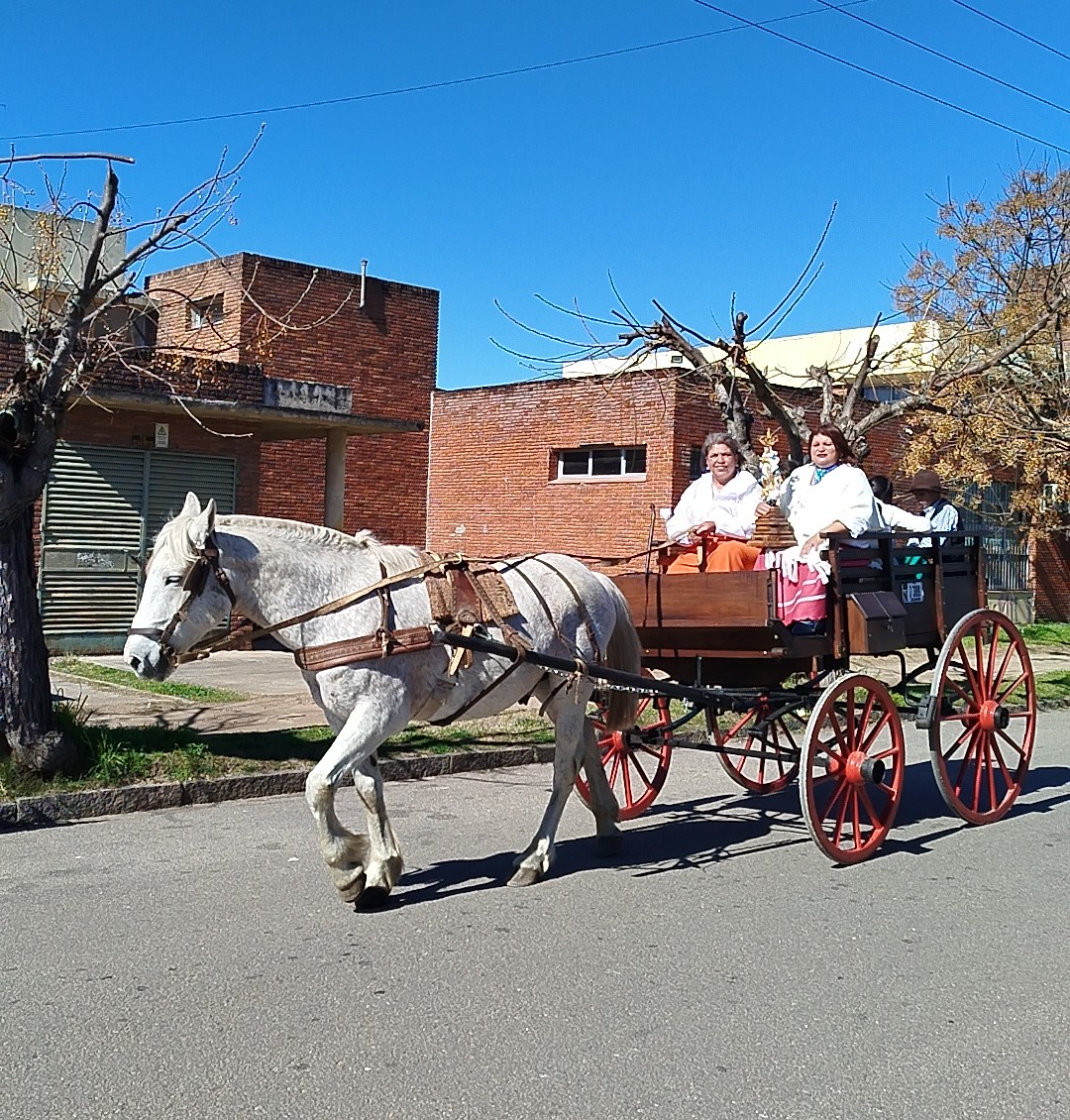 Desfile_Patricios_2026_1.jpg