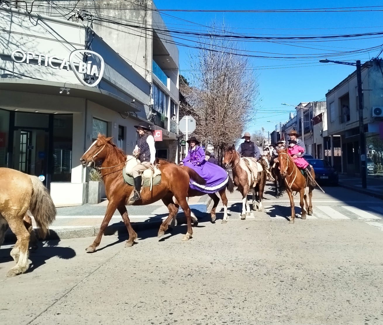 Desfile_Patricios_2026_4.jpg