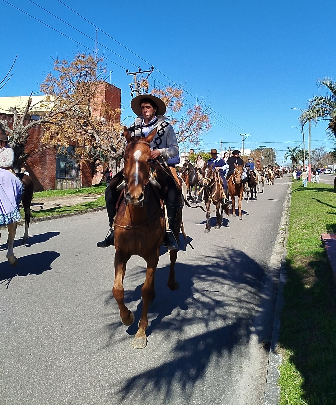 Desfile_Patricios_2026_7.jpg