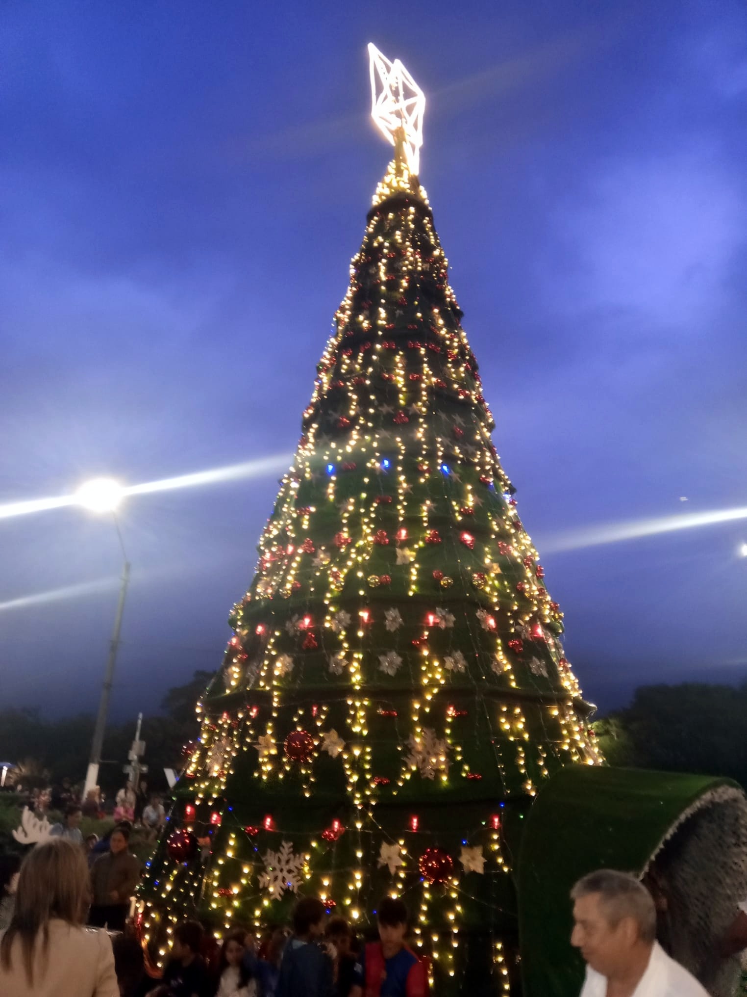 Florida_encendió_su_árbol_de_Navidad_2.jpeg