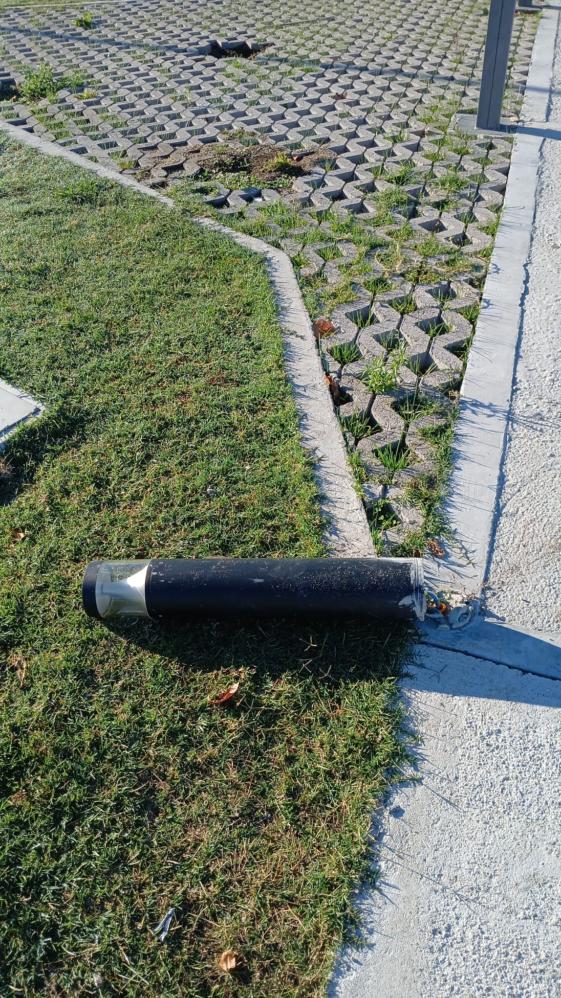 Continúa el vandalismo en Plaza Cúneo