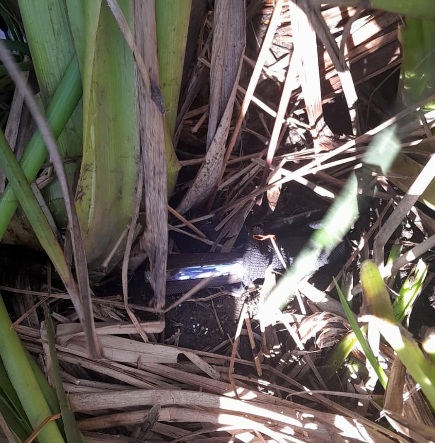 El Pelón el delincuente más buscado del país fue detenido en zona de Mendoza Chico 2