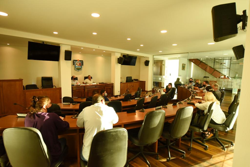 comision permanente